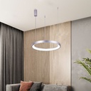 iBruzzi Lustre Lenna Argent Brillant Brosse 60W